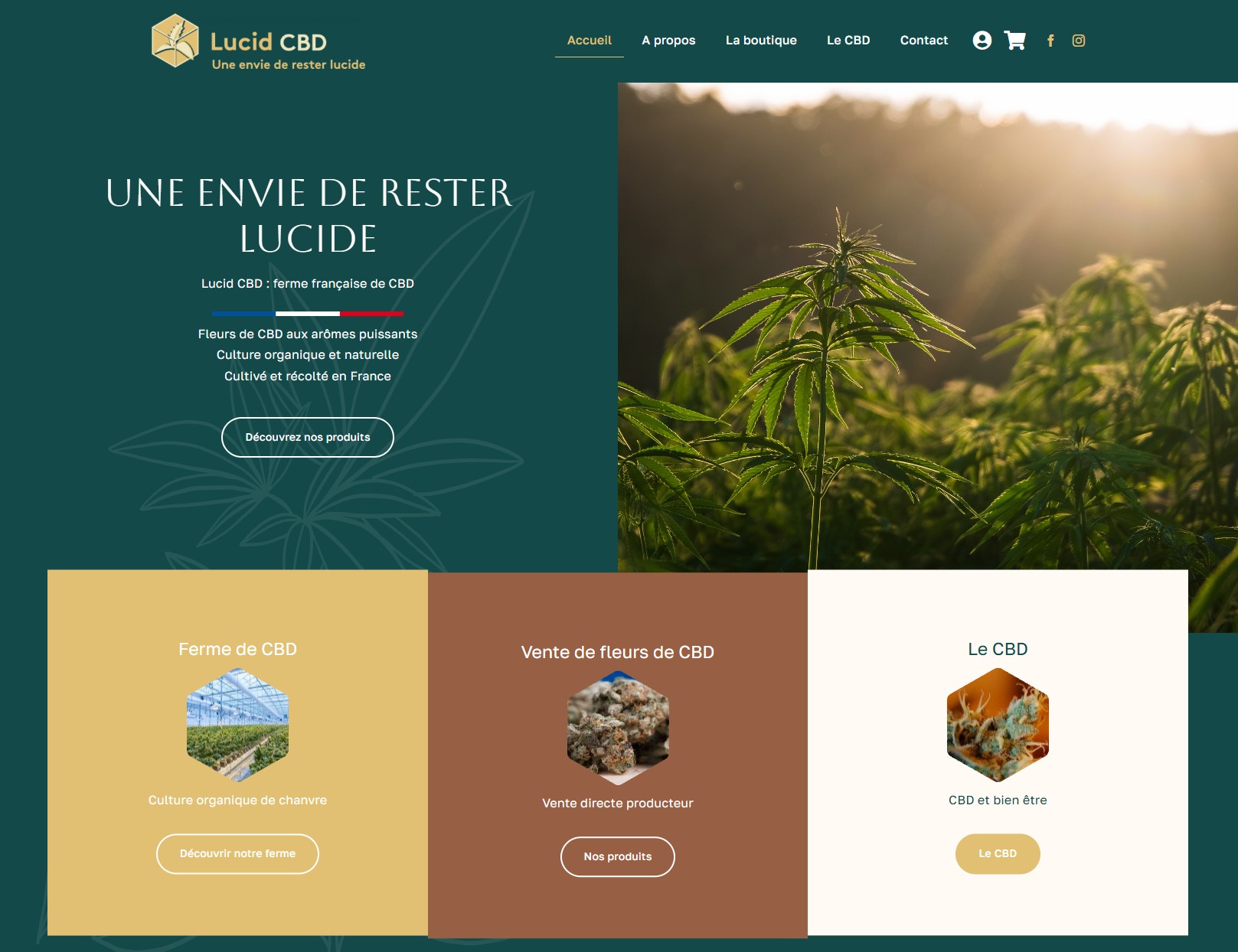 création de site e-commerce, boutique en ligne